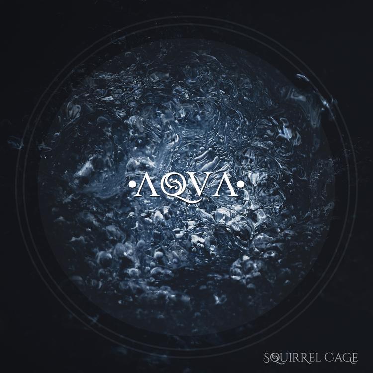 Squirrel Cage's avatar image