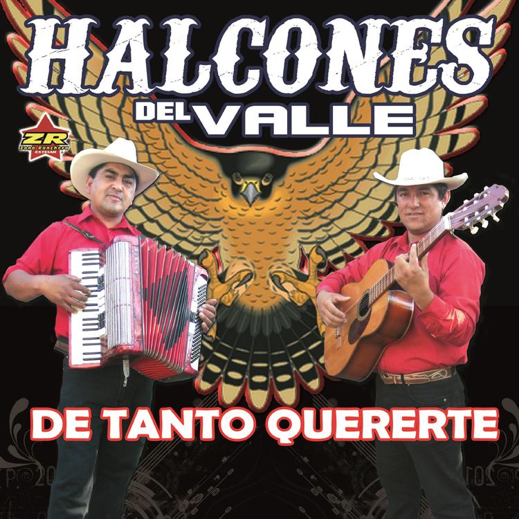 Halcones del Valle's avatar image