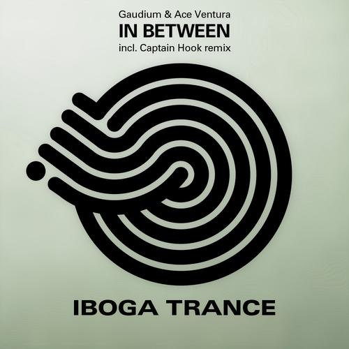 Golden Cage, Ritmo & Gaudium (Iboga Records)