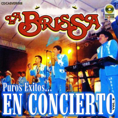 Puros Exitos en Concierto, Vol. 2's cover