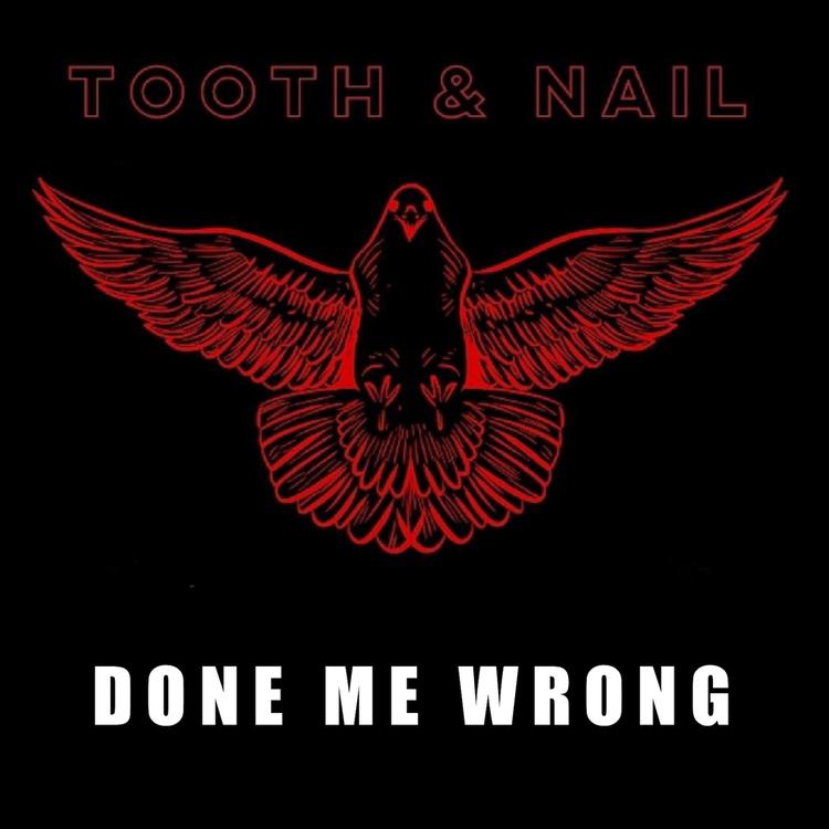 Tooth & Nail's avatar image