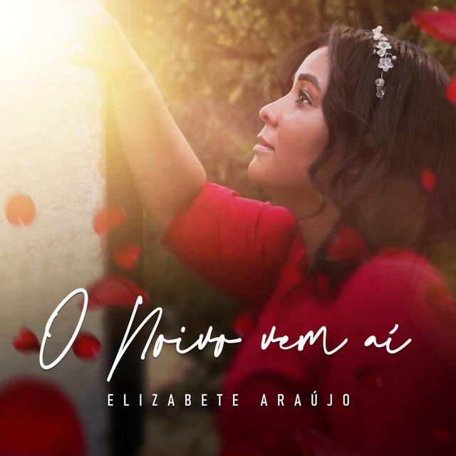 Elizabete Araujo's avatar image