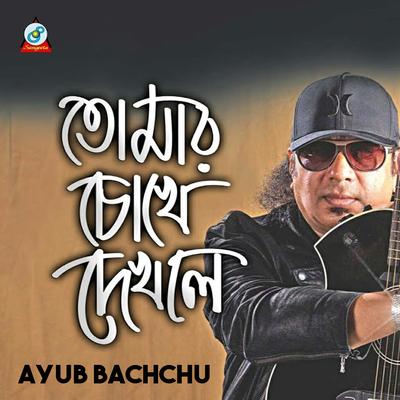 Tomar Chokhe Dekhle's cover