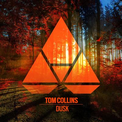 Dusk (Original Mix) By Tom Collins's cover