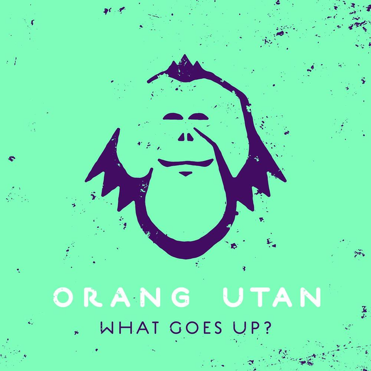 Orang Utan's avatar image