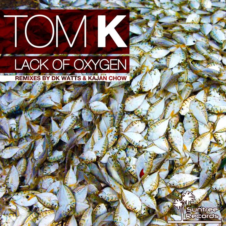 Tom K's avatar image
