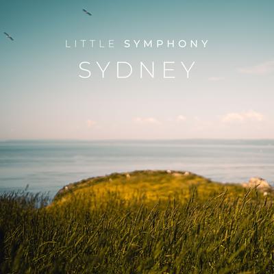 Me By Little Symphony's cover