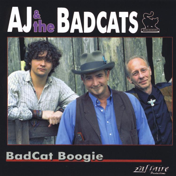 AJ & the Badcats's avatar image