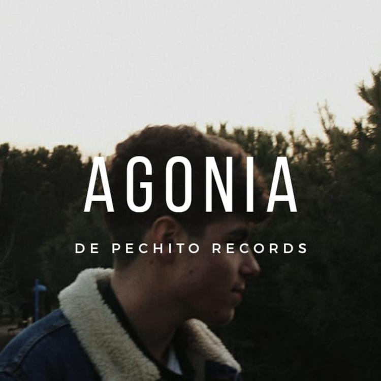 DE Pechito Records's avatar image