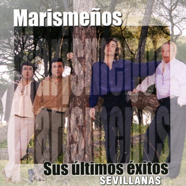 Marismeños's avatar image