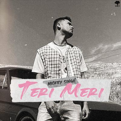 Teri Meri's cover