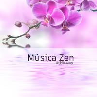 Música de Meditação's avatar cover