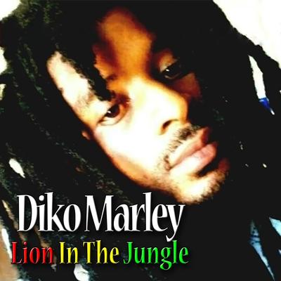 Can't Stop Love By Diko Marley's cover