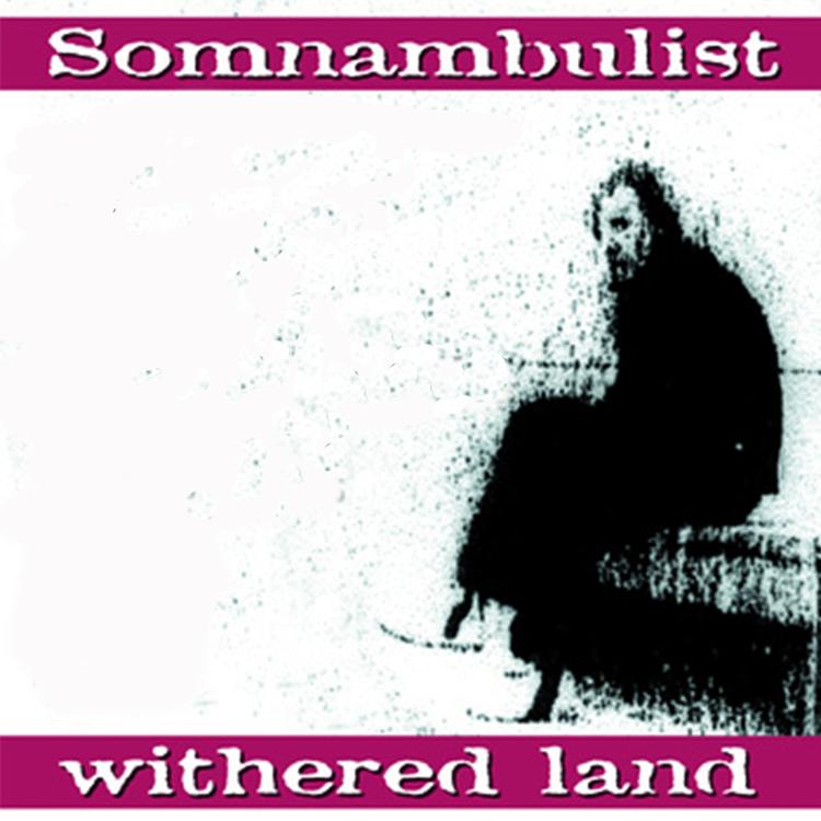 Somnambulist's avatar image