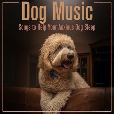 Song Dance By Dog Music's cover