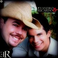Evandro e Ricardo's avatar cover