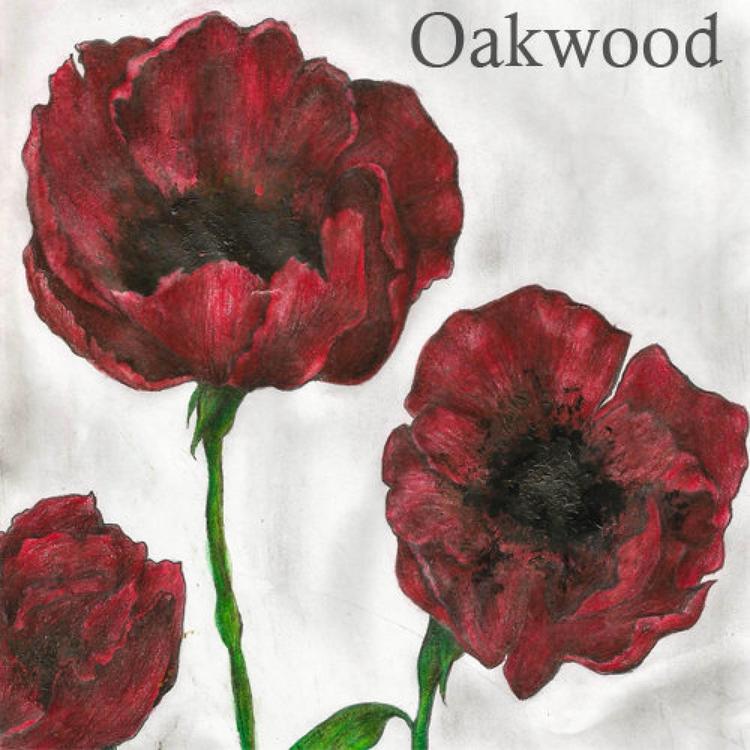 Oakwood's avatar image