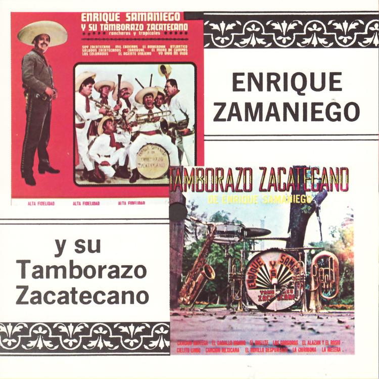 Tamborazo Zacatecano's avatar image