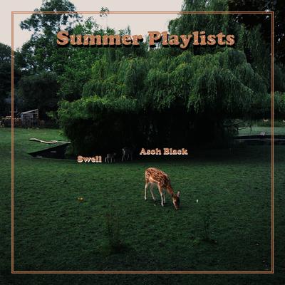 Summer Playlists By Asoh Black!, Swell's cover