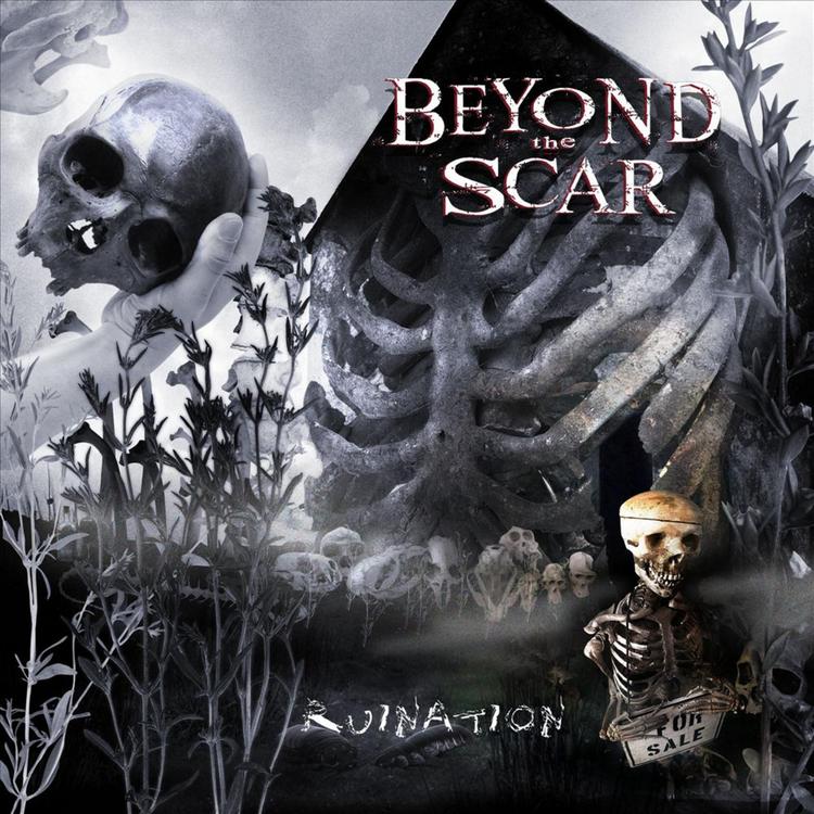 Beyond The Scar's avatar image