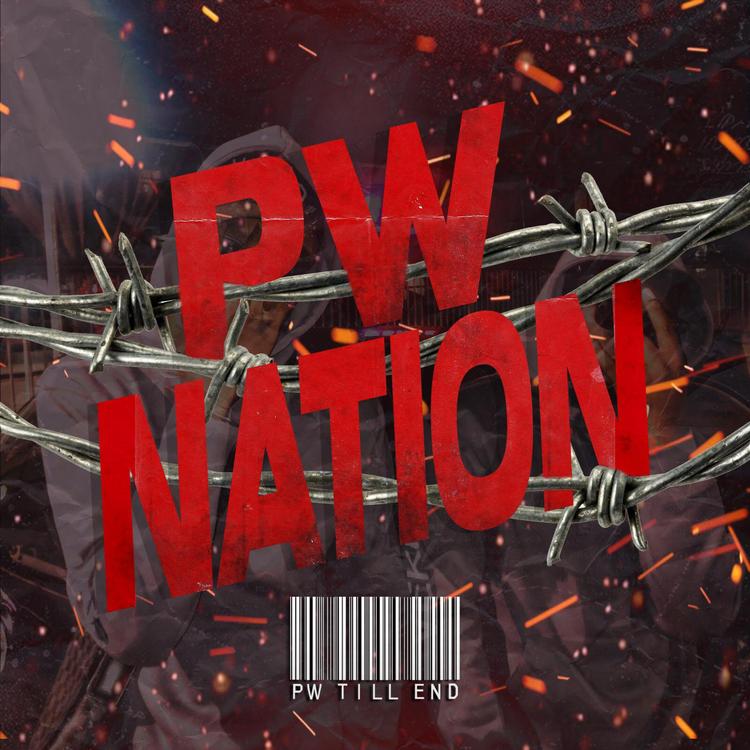 PW Nation's avatar image