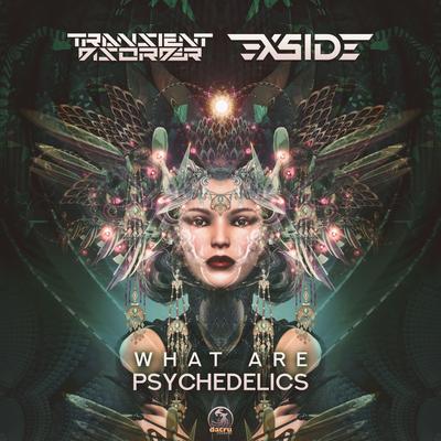 What Are Psychedelics (Original Mix) By Transient Disorder, X-Side's cover