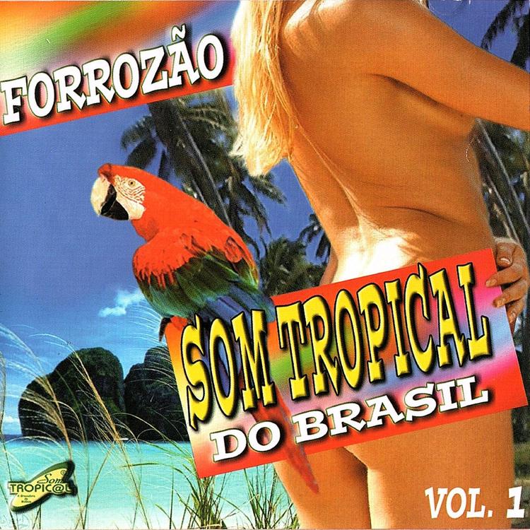 Forrozão Som Tropical Do Brasil's avatar image