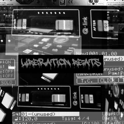 Liberation Beats's cover