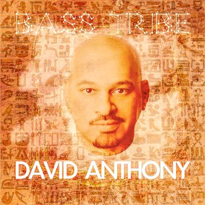 Bass Tribe (Anthem Mix) By David Anthony's cover