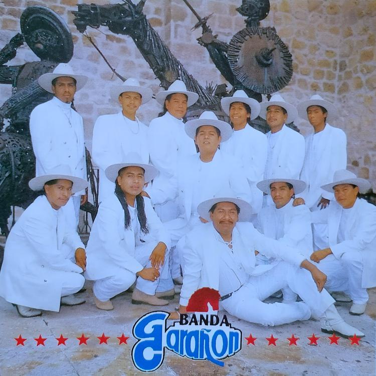 BANDA GARAÑON DE MICHOACÁN's avatar image