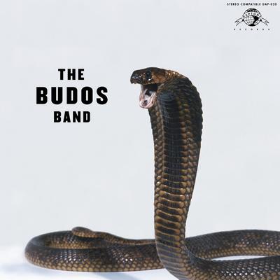 River Serpentine By The Budos Band's cover
