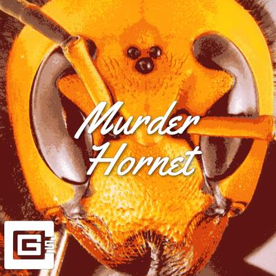 Murder Hornet By CG5's cover