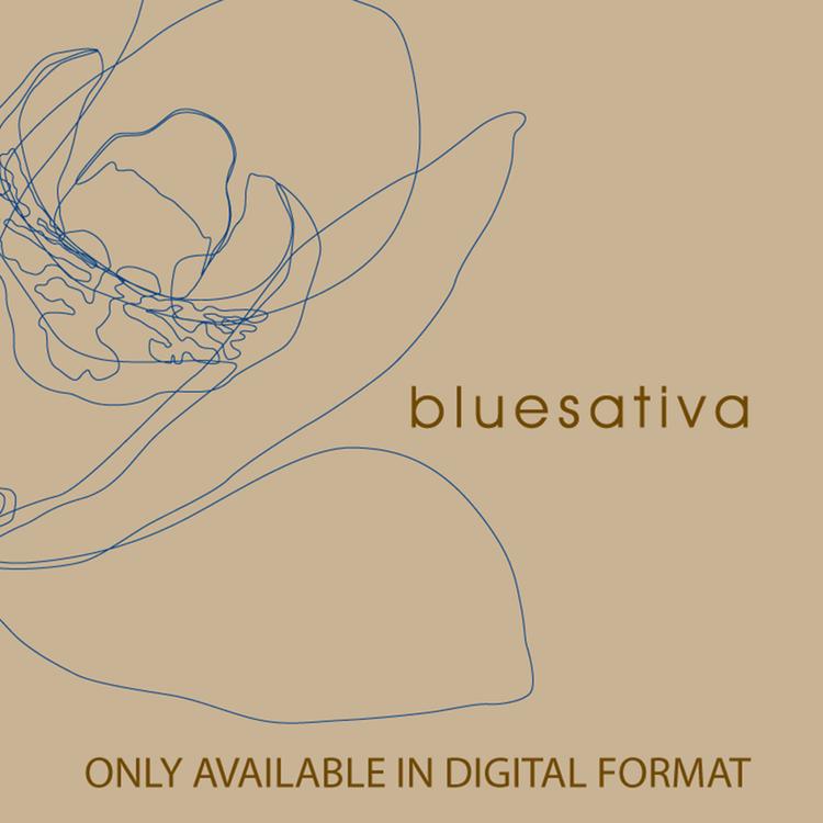 Bluesativa's avatar image