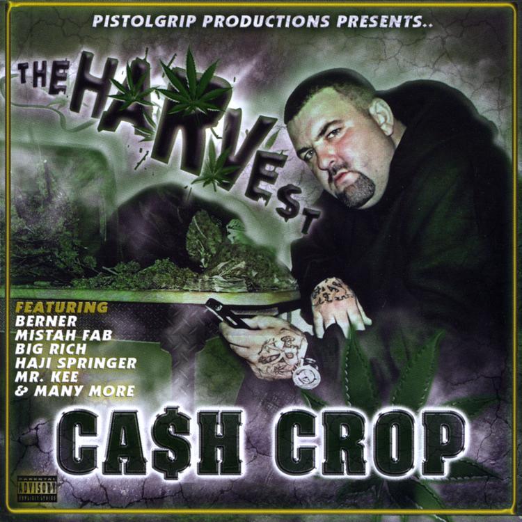CA$H CROP's avatar image