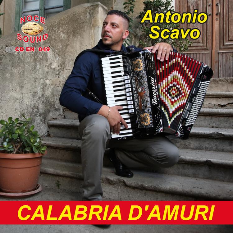 Antonio Scavo's avatar image