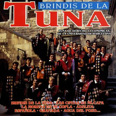 Tuna de Derecho y Económicas de la Universidad de Barcelona's cover