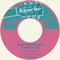 Hugo Montenegro & His Orchestra's avatar cover
