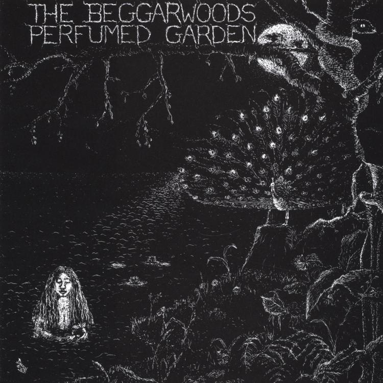 The Beggarwoods's avatar image