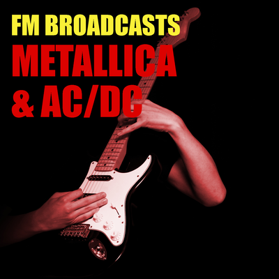 Harvester Of Sorrow (Live) By Metallica's cover