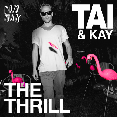 The Thrill (Ziggy & Jamie Westland Remix) By TAI, 刘星冶's cover