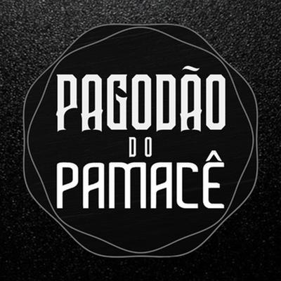 Preservê / Pára / Vai Passar (Ao Vivo) By Pamacê's cover