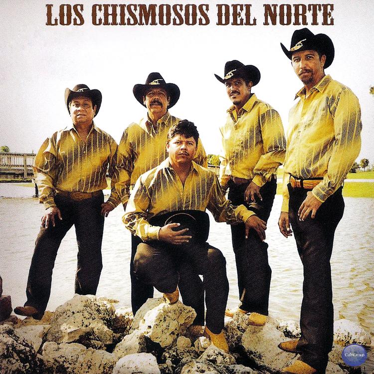 Los Chismosos Del Norte's avatar image