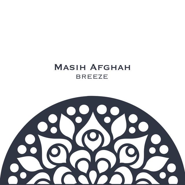 Masih Afghah's avatar image