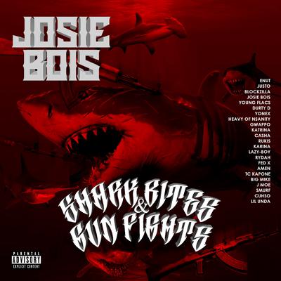 Josie Bois's cover