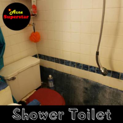 Shower Toilet's cover