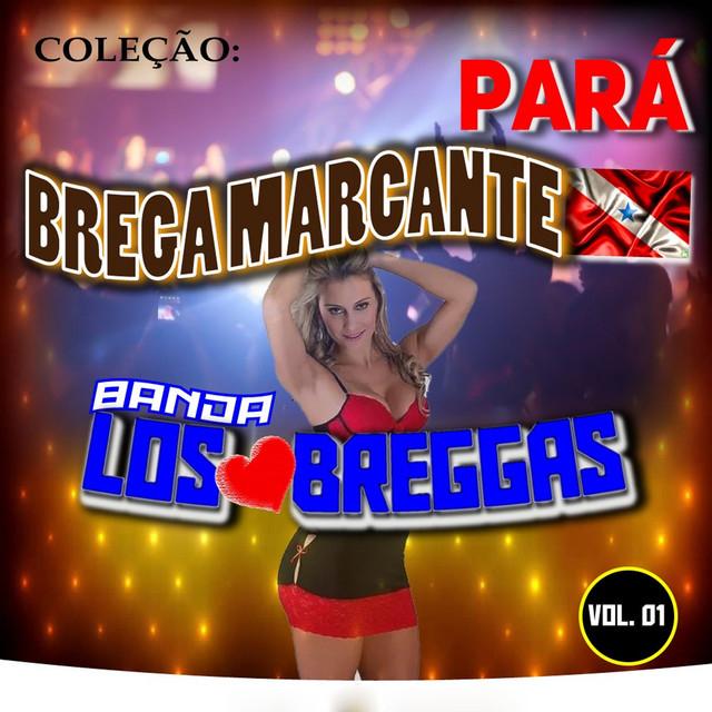 Banda Los Breggas's avatar image