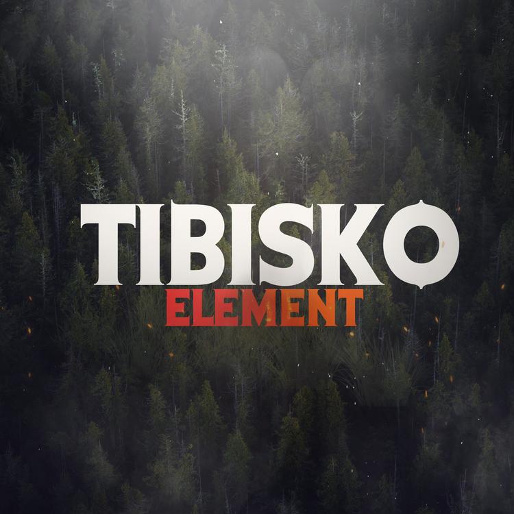 Tibisko's avatar image