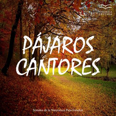 Canto de Pájaros para Estudiar, Pt. 03's cover