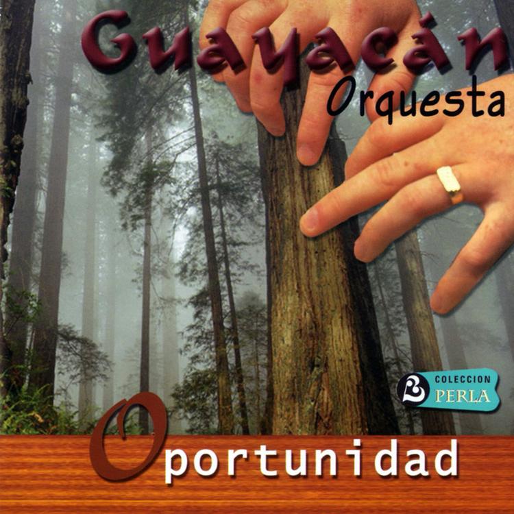 Orquesta Guayacán's avatar image