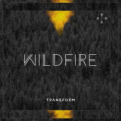 Wildfire (Kevin Aleksander Club Remix) By Transform, Kevin Aleksander's cover